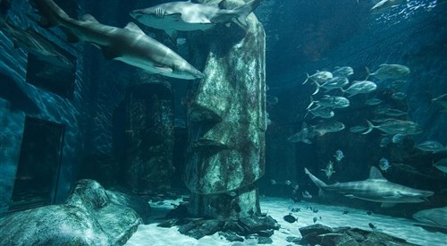 Weymouth SEA LIFE Adventure Park & Tower 4