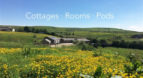 Rossendale Holiday Cottages, Rossendale 1