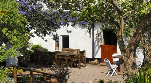 Steps Farmhouse, Watchet 1