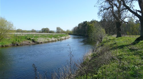 Monteviot, Teviot 4