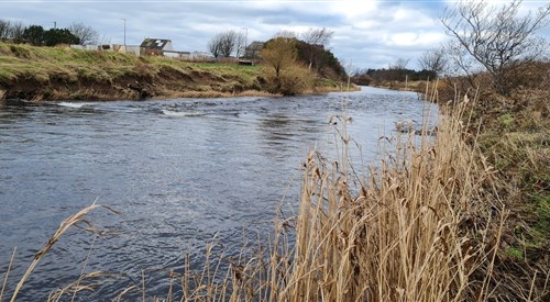 Carrick Angling Club, Girvan 4