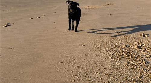 Sandy-Toes (NO. 103L), The Leas, Frinton on Sea 3