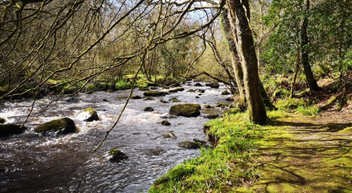 Ballinderry River, Other Rivers 1