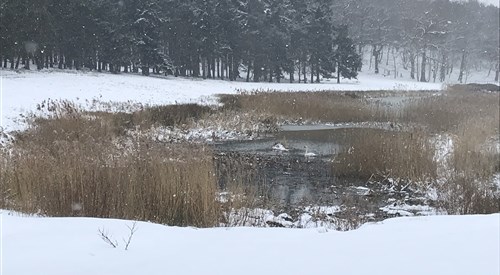 The Stables, Walberswick 3