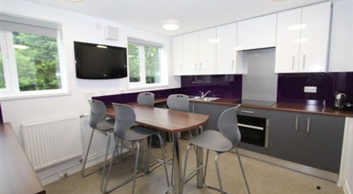 Cyncoed Halls, Cardiff 3