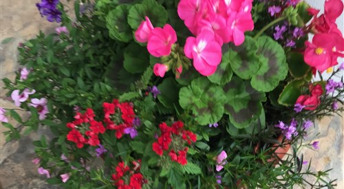 Gwynarth B&B, Wadebridge 3