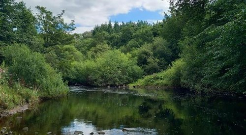 Brampton Angling Association, Eden