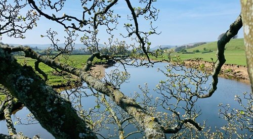 Hawes and High Abbotside Angling Association, Ure 3