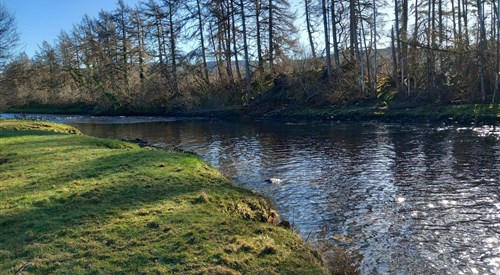 Glendoe Estate - River Oich, Oich / Garry 2