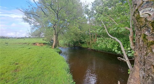 Ballymoney Burn 1