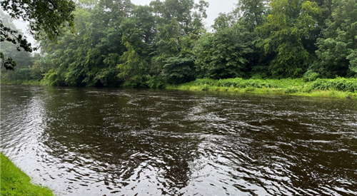 Border Esk & Liddel AC 1