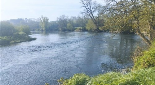 Blackwater Valley Fishery - Ballyduff Bridge
