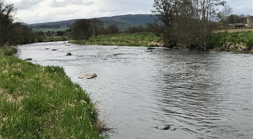 South Waterside, Don 3