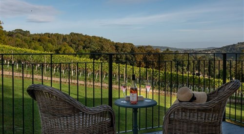 Woodchester Valley Vineyard, Stroud 3