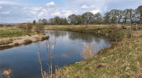Dryfeholm, Annan 2
