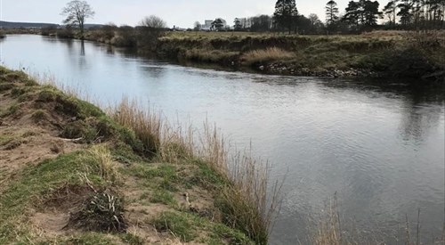 Dryfeholm, Annan 3