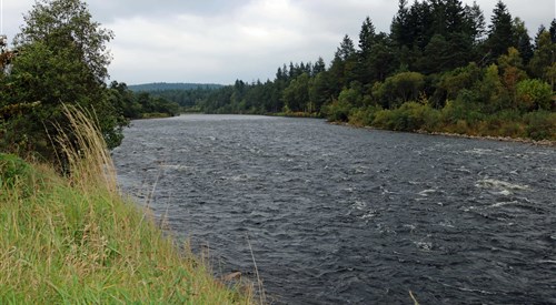 Craigendinnie, Dee