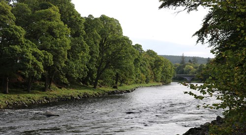 Banchory, Dee 3