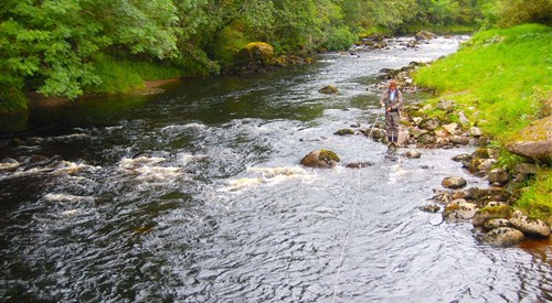 Novar Fishings, Alness