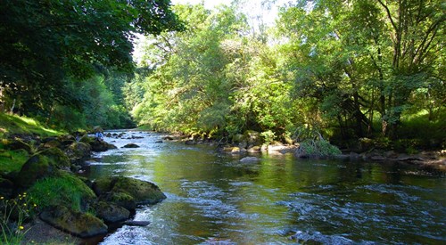 Novar Fishings, Alness 2