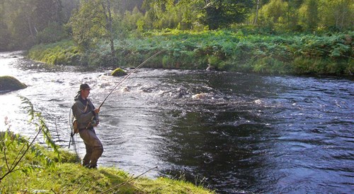 Novar Fishings, Alness 3