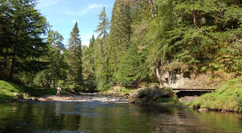Novar Fishings, Alness