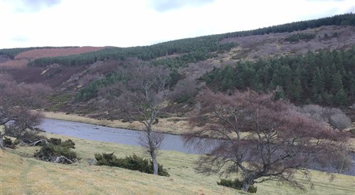 Moy, Findhorn 1
