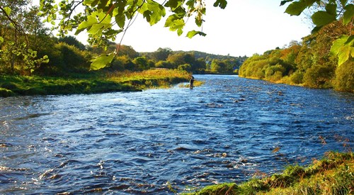 Newton Stewart AA, Cree 1