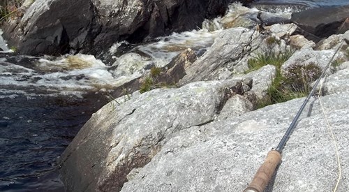 Flodabay, Harris 2
