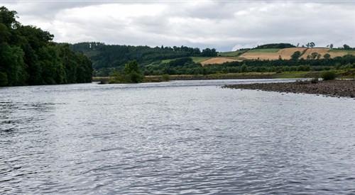 Delvine Burnbane, Tay 3