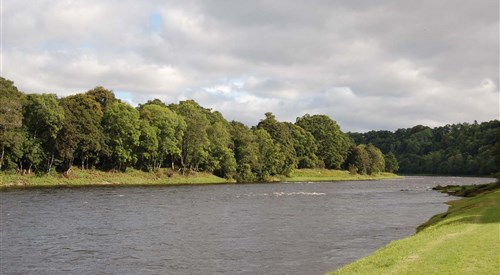 Fishponds, Tay 1
