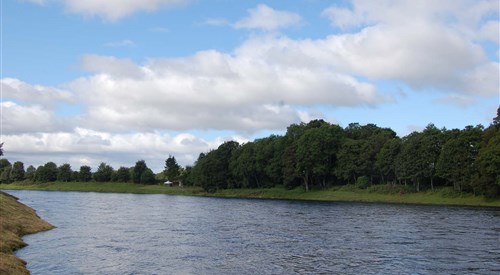 Fishponds, Tay 2