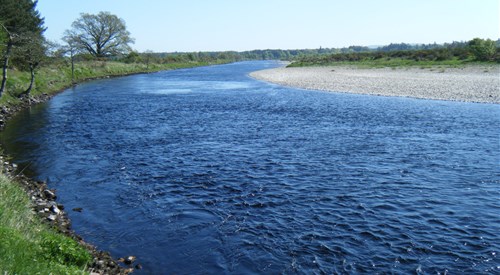 Kercock, Tay