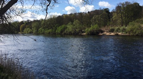 Styford, Tyne 2