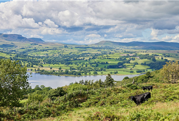 Feather Down Pant y March photo 5