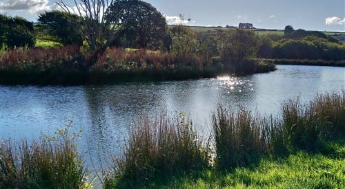 Degembris Cottages, St Newlyn East 1