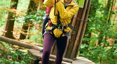 Go Ape Grizedale Forest, Ambleside 4