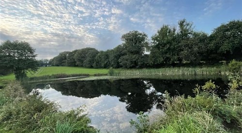 Rose Park Fishery, Lakes 4