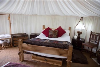 Plush Tents Yurt Village photo 5