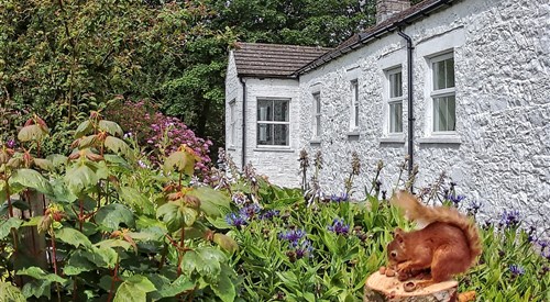 Abbotsway Cottage, Kirkcudbright 4