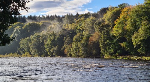 Little Blackhall and Inchmarlo, Dee 1