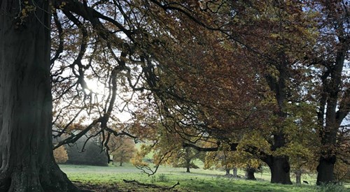 Buscot Park, Faringdon 2