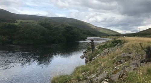 Helmsdale - Suisgill Estate, Far North 3