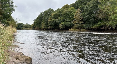 Cleuchhead, Annan 1