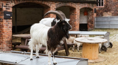 Temple Newsam, Leeds 1