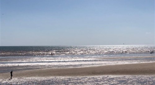 Salt on the Harbour, Bridlington 3
