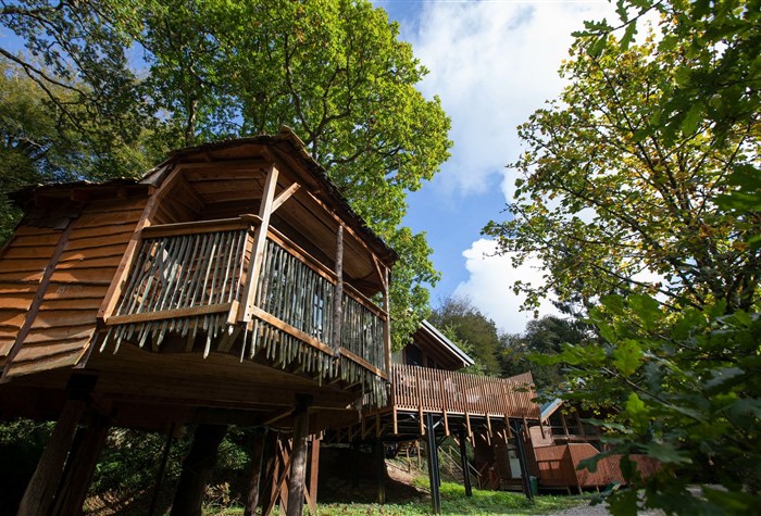 Forest Holidays, Deerpark photo 3