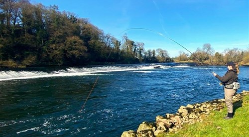 Careysville Fishery, Blackwater 2