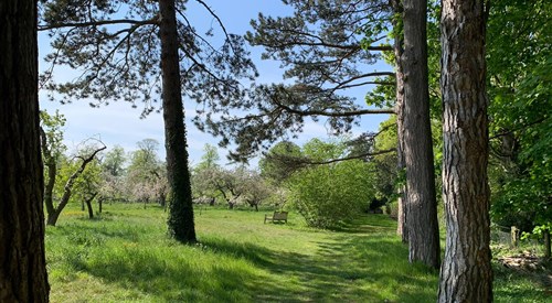 Swirles Court (Girton College), Cambridge 3
