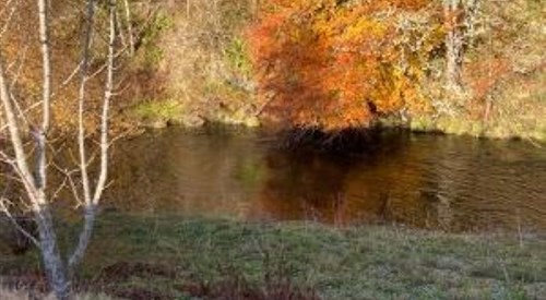 Glenlivet Inveravon Fishing, Avon 4
